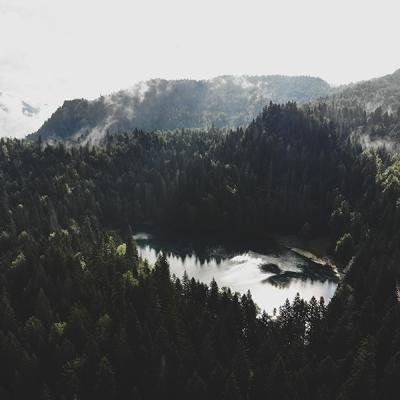 Zabojssko Jezero Priroda